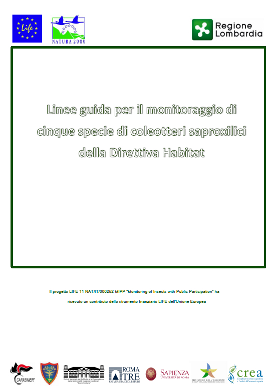 linee guida MIPP