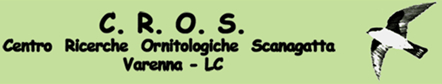 logo_CROS