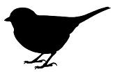 Uccelli