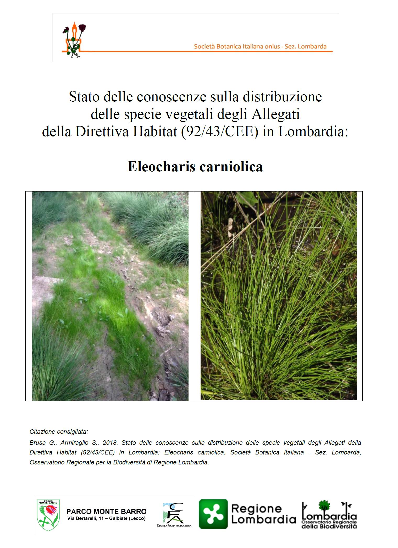 copertina eleocharis